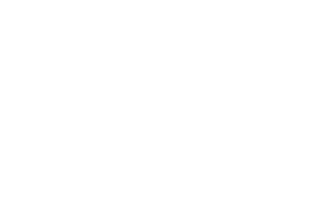 Hines Logo